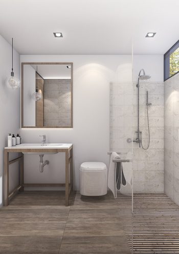 bathroom-renovation-home-accessibility-1